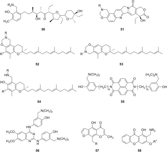 Fig. 10