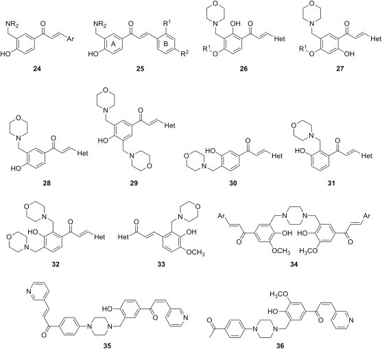 Fig. 6