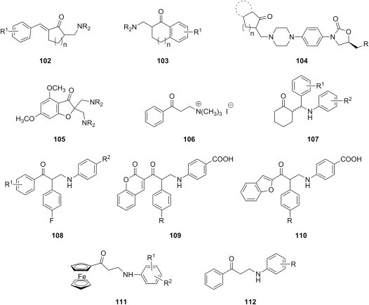 Fig. 21