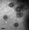 FIG. 3.