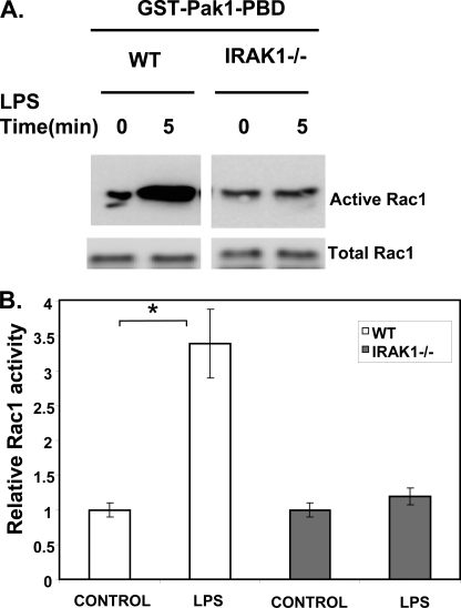 FIGURE 4.