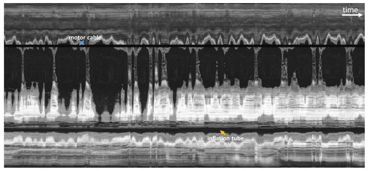 Fig. 6