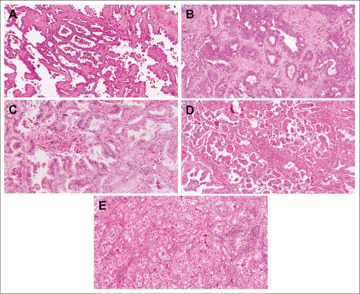 Fig 1.