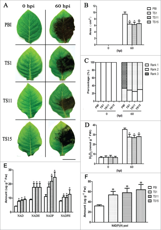 Figure 2.