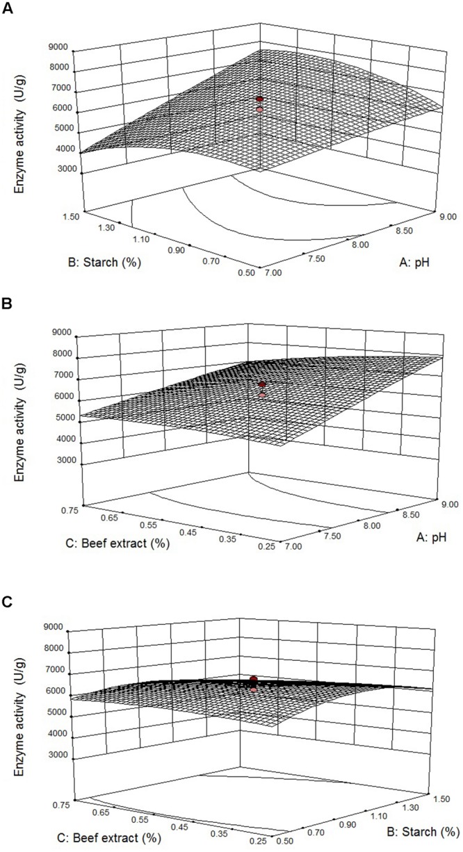 FIGURE 4