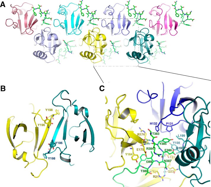 FIGURE 5.