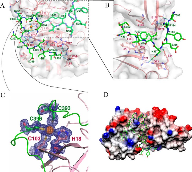 FIGURE 3.