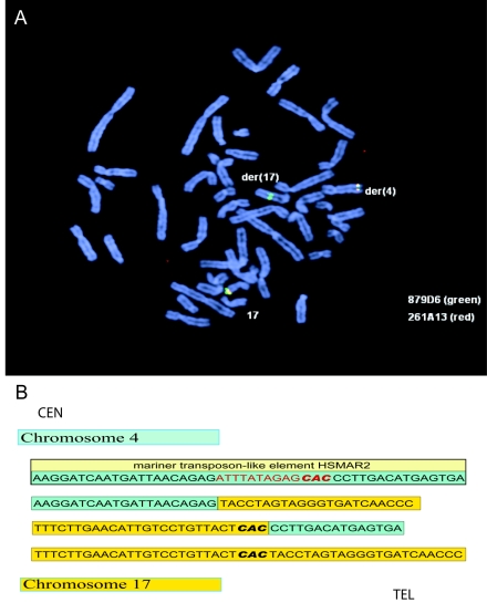 Figure  2