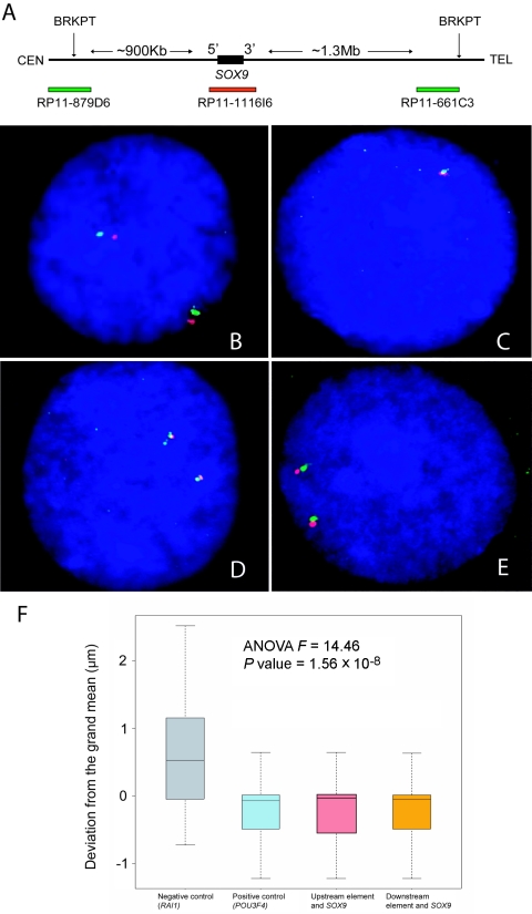 Figure  4