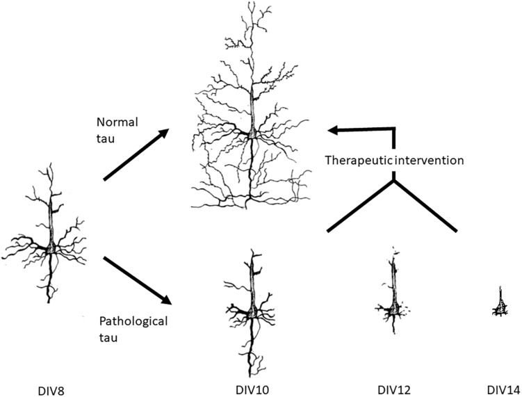 FIGURE 6