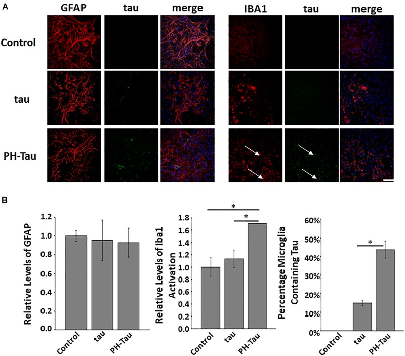 FIGURE 3