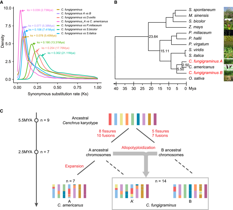 Figure 2