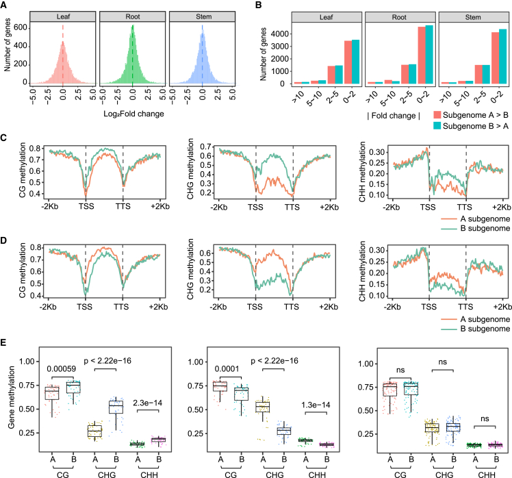 Figure 4