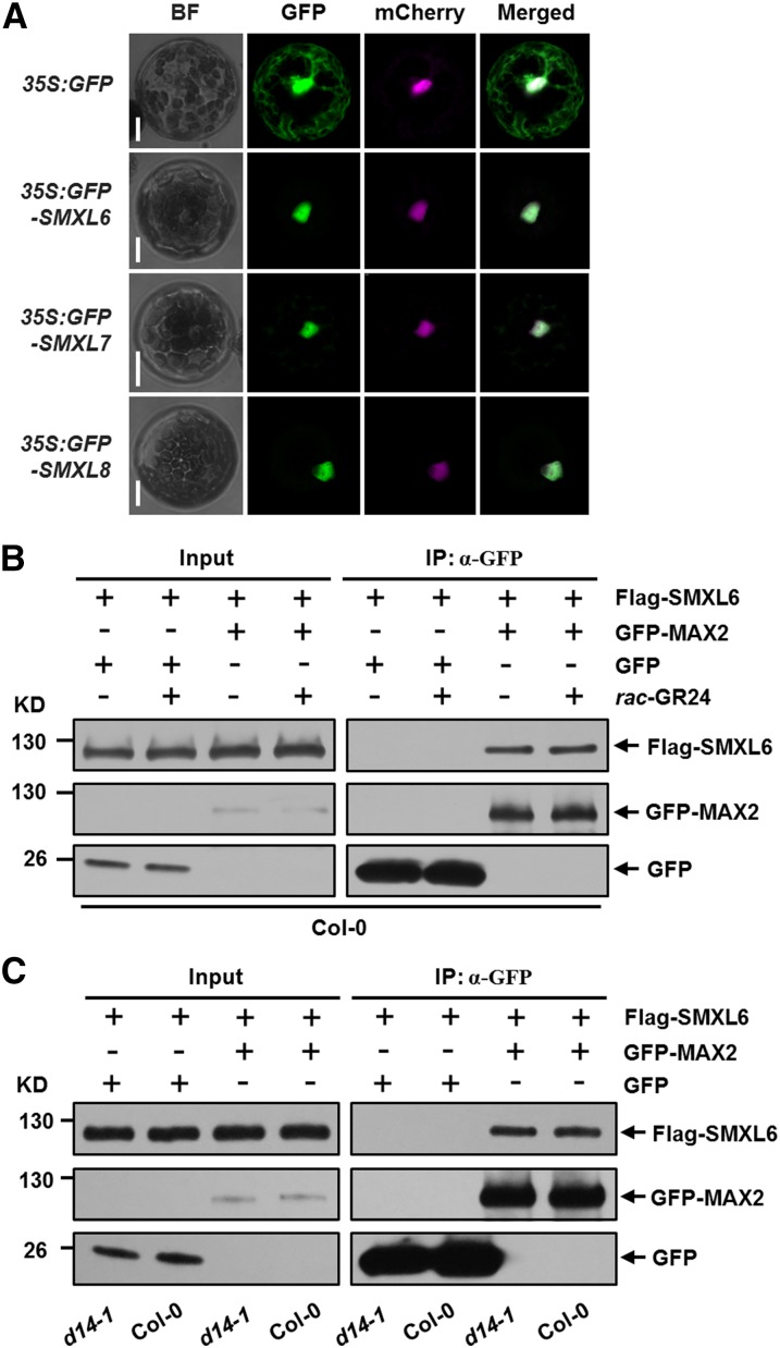 Figure 6.