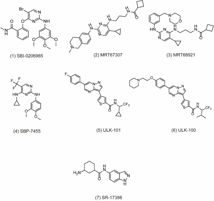 FIGURE 2