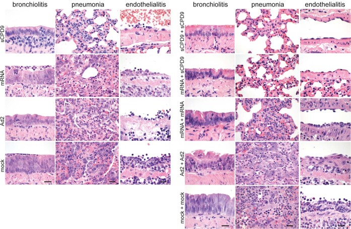 Extended Data Fig. 2