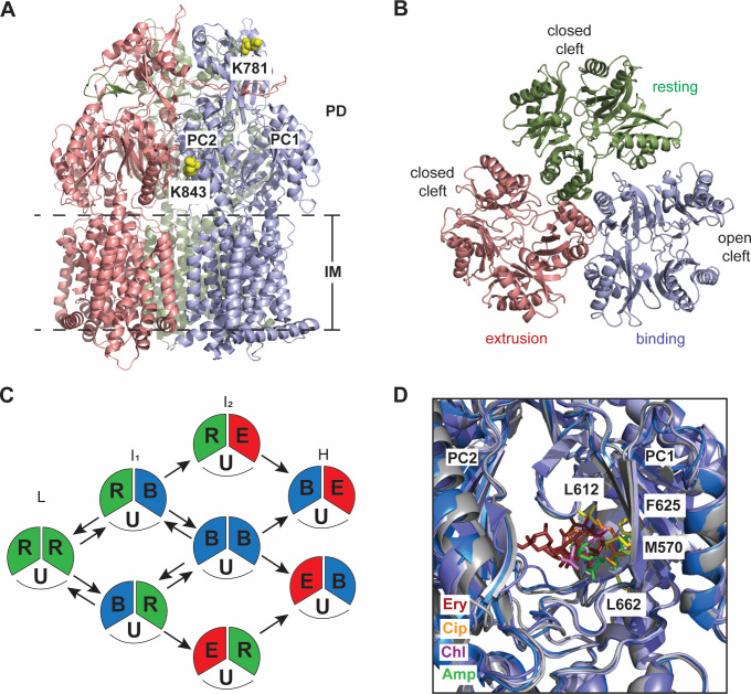 Fig 3