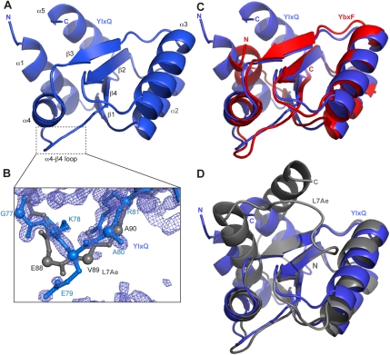 FIGURE 5.