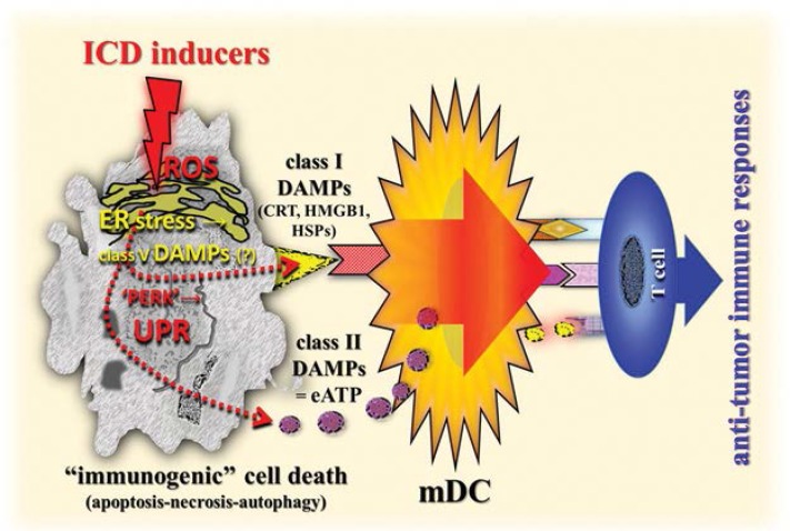 Figure 4: