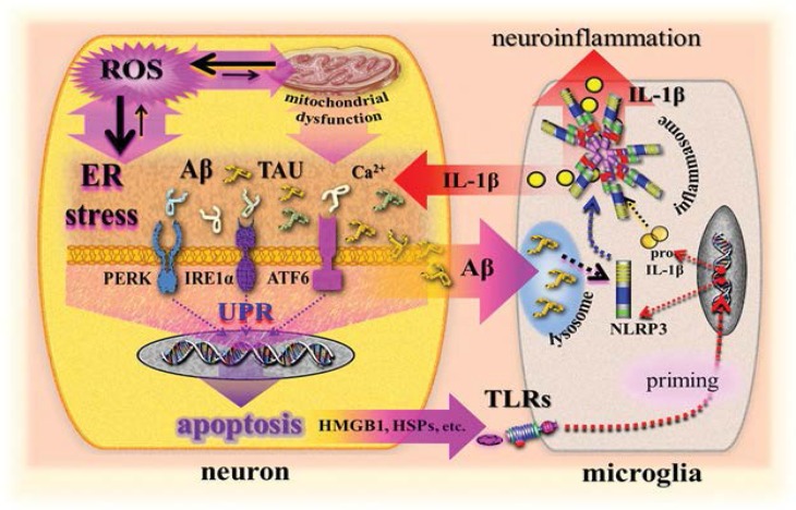 Figure 3: