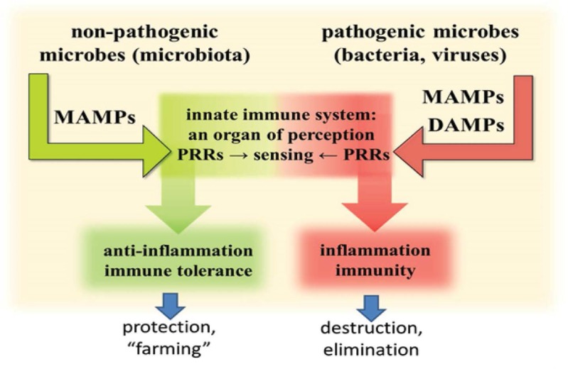 Figure 5: