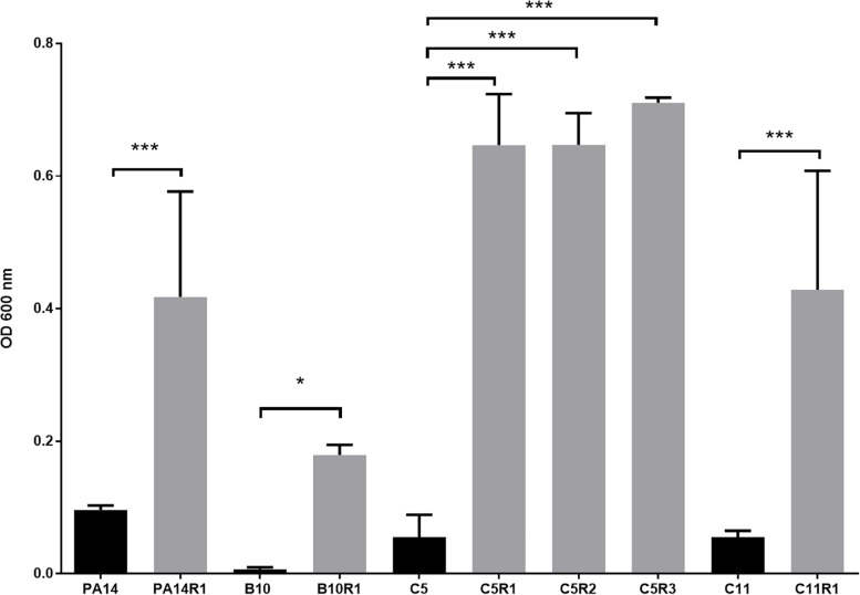 FIGURE 2