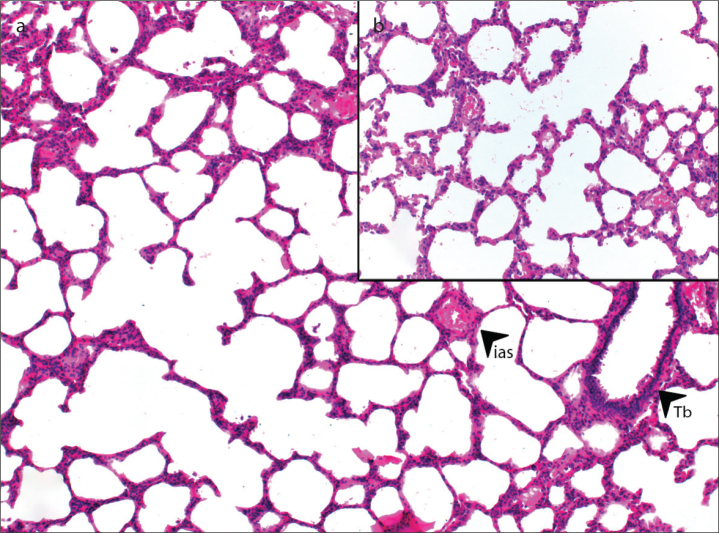 Figure 3. a, b