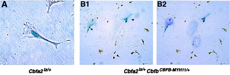 FIG. 8