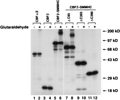 FIG. 6