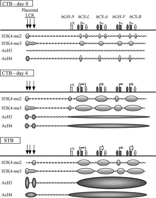 FIG. 7.