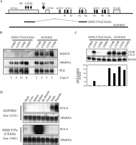 FIG. 8.