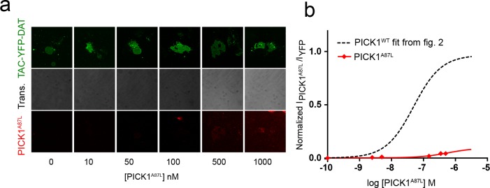 Figure 5—figure supplement 1.