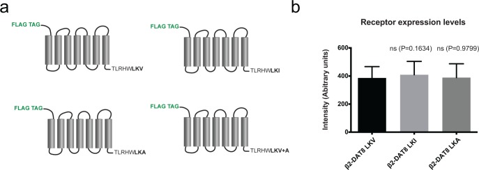 Figure 3—figure supplement 1.