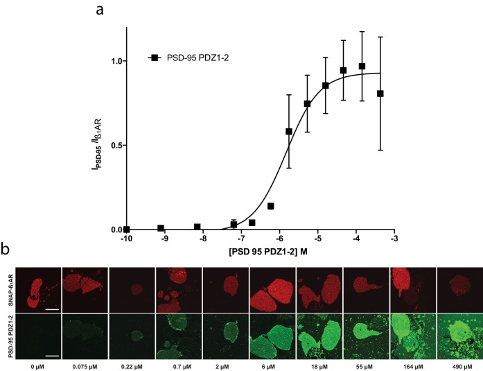 Figure 2—figure supplement 2.