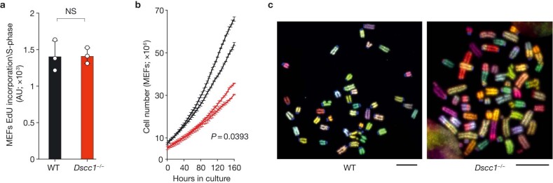 Extended Data Fig. 6