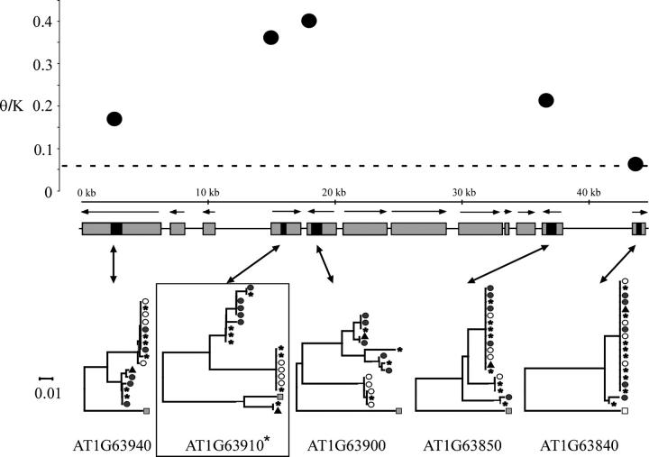 Figure 1.—