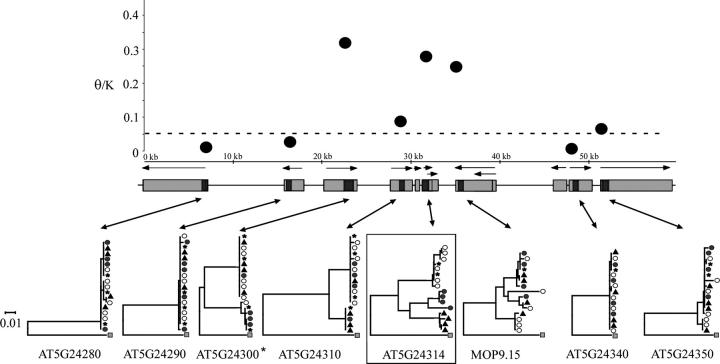 Figure 2.—