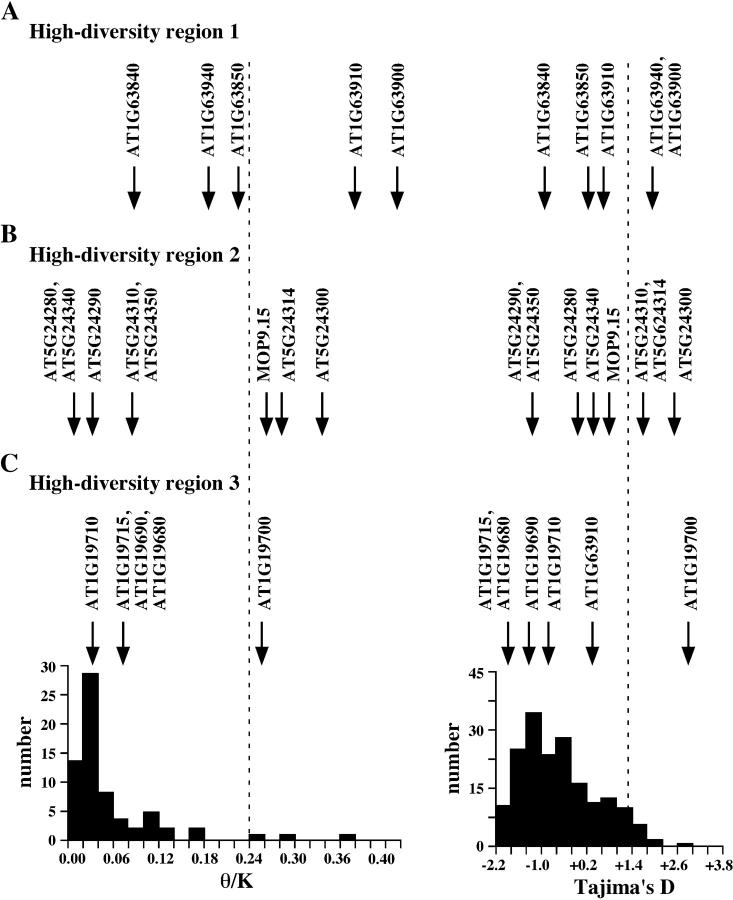 Figure 4.—