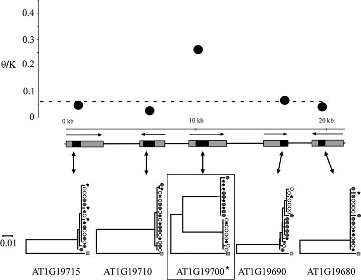 Figure 3.—