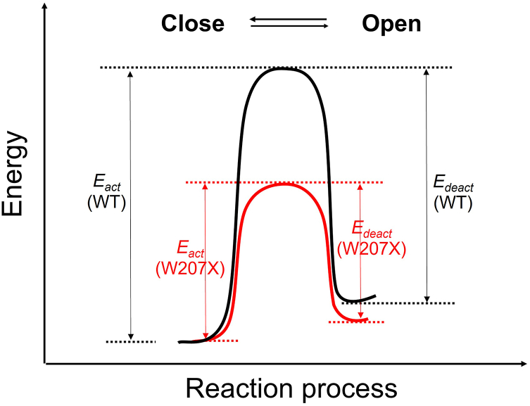 Figure 8