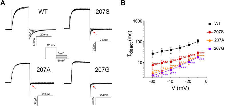 Figure 5