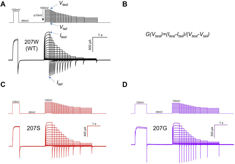 Figure 2