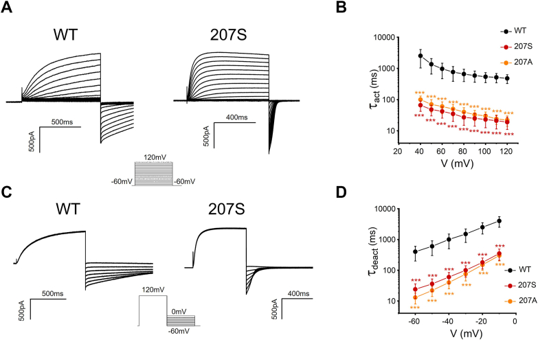 Figure 7