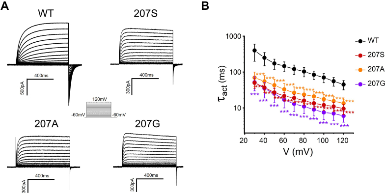 Figure 4