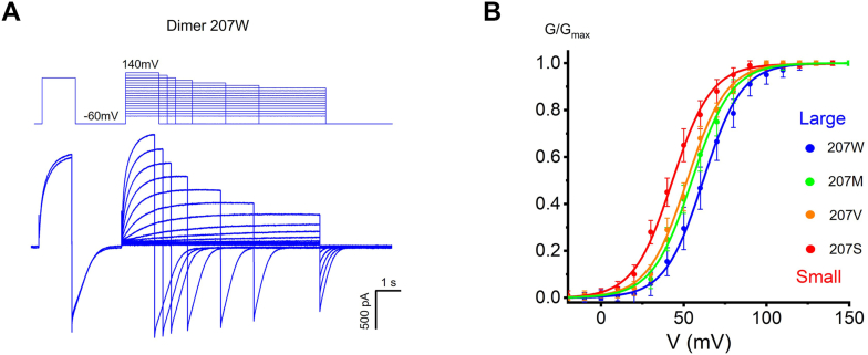 Figure 6