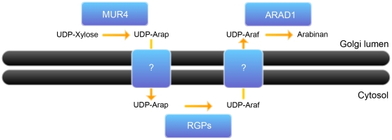 Figure 9