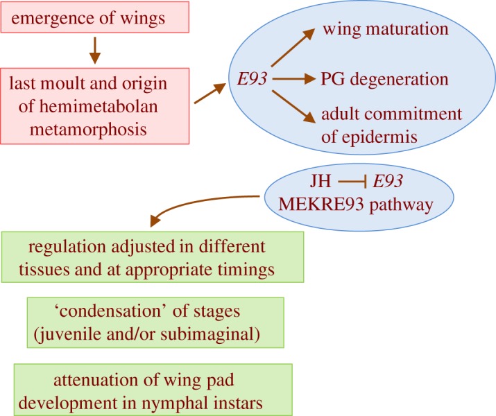 Figure 5.