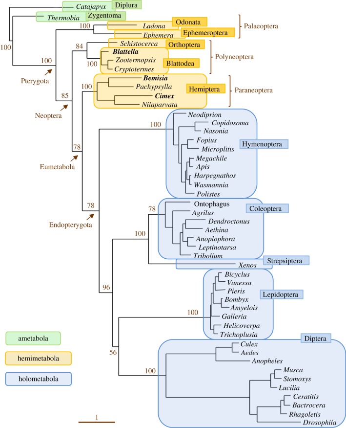 Figure 6.