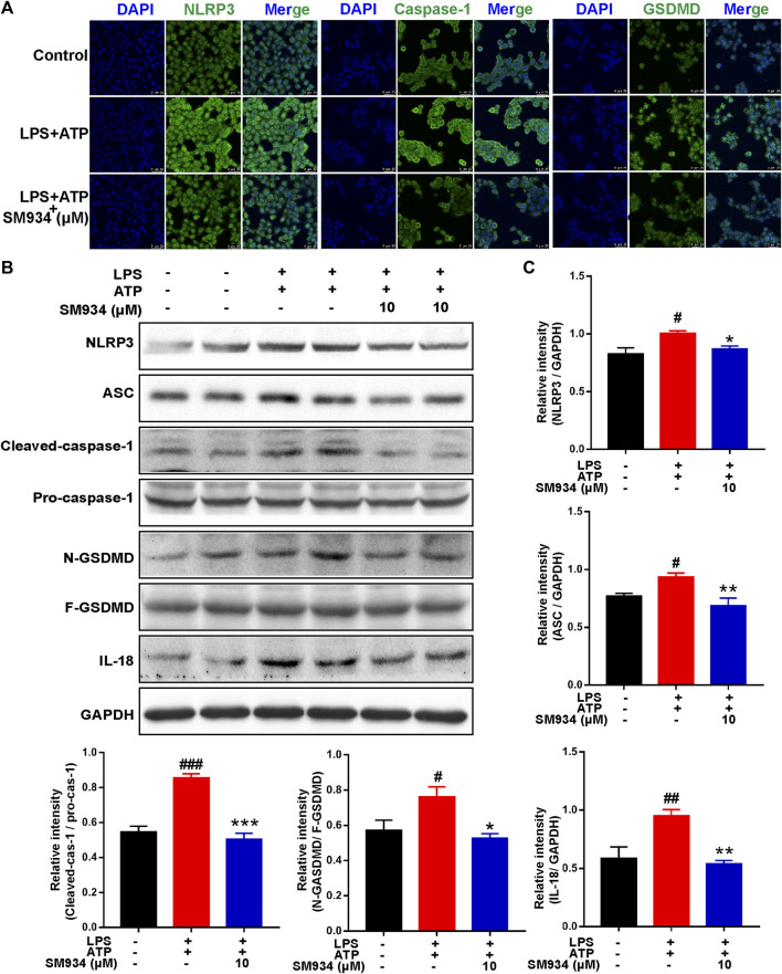 FIGURE 6