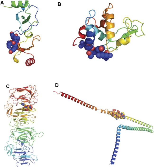 FIGURE 11